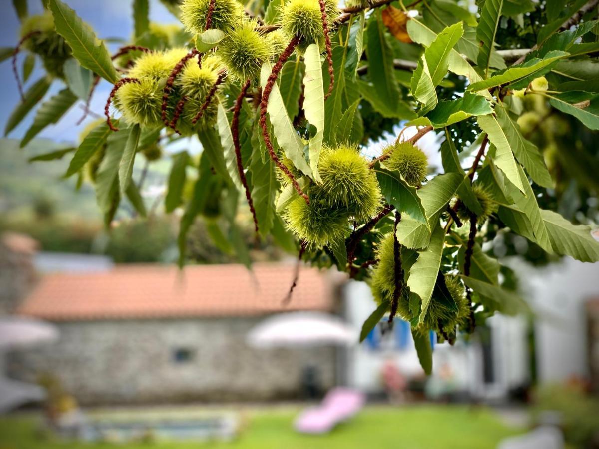 Casa Do Milhafre - Villaverde Azores Feteiras Екстер'єр фото